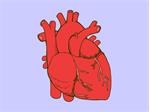 Genetics may explain rare heart inflammation in some young people